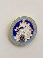 纪念币/徽章 江西师范大学纪念胸章制作,山西师范大学周年纪念胸章,专业制作学校胸针设计批发订购图片_高清图_细节图-深圳市和康工艺制品销售部