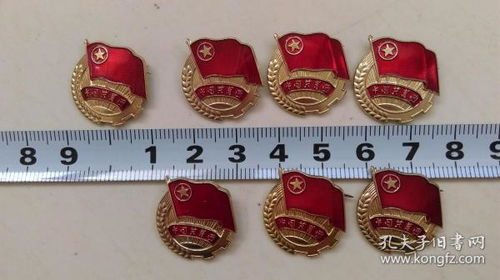胸章 中国共青团胸章
