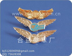 金属徽章 镀金徽章 镀银徽章 胸章产品大图 合益徽章厂北京分公司