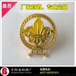 异形镀金胸章定制 高档徽章设计与平阳县标牌厂的专业服务
